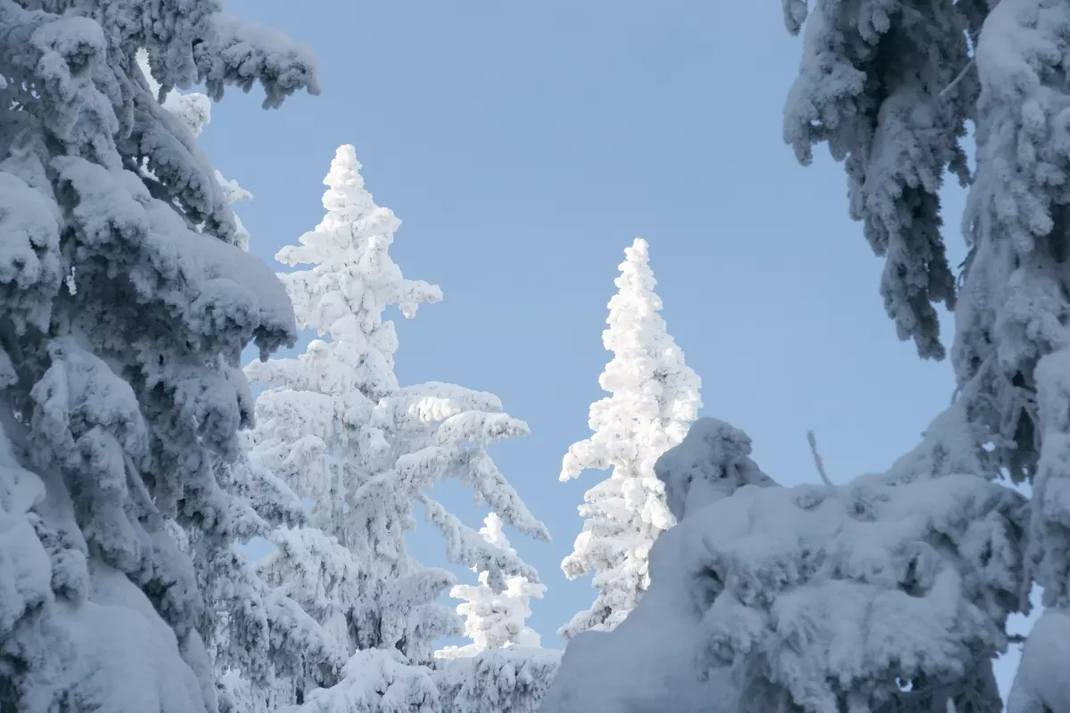 Para narciarzy patrząca w dół stoku i na odległe góry.
