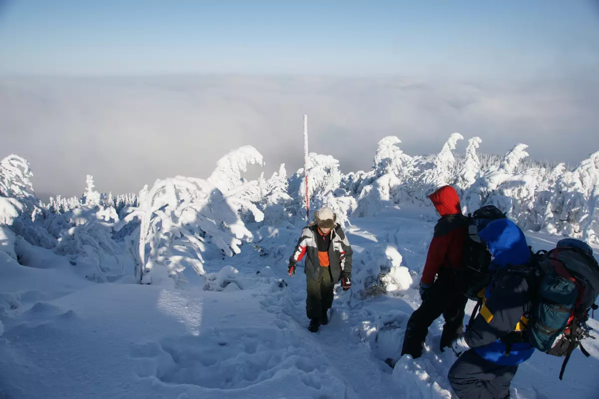Grupa ludzi na ośnieżonym szczycie, pieknie ośnieżone drzewa.