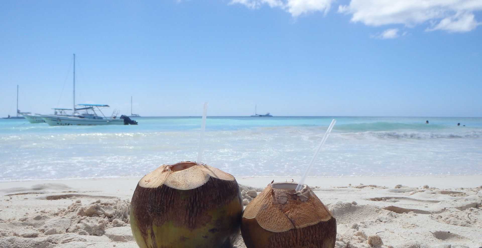 Dwa drinki w kokosach ze słomką na tle plaży i morza.